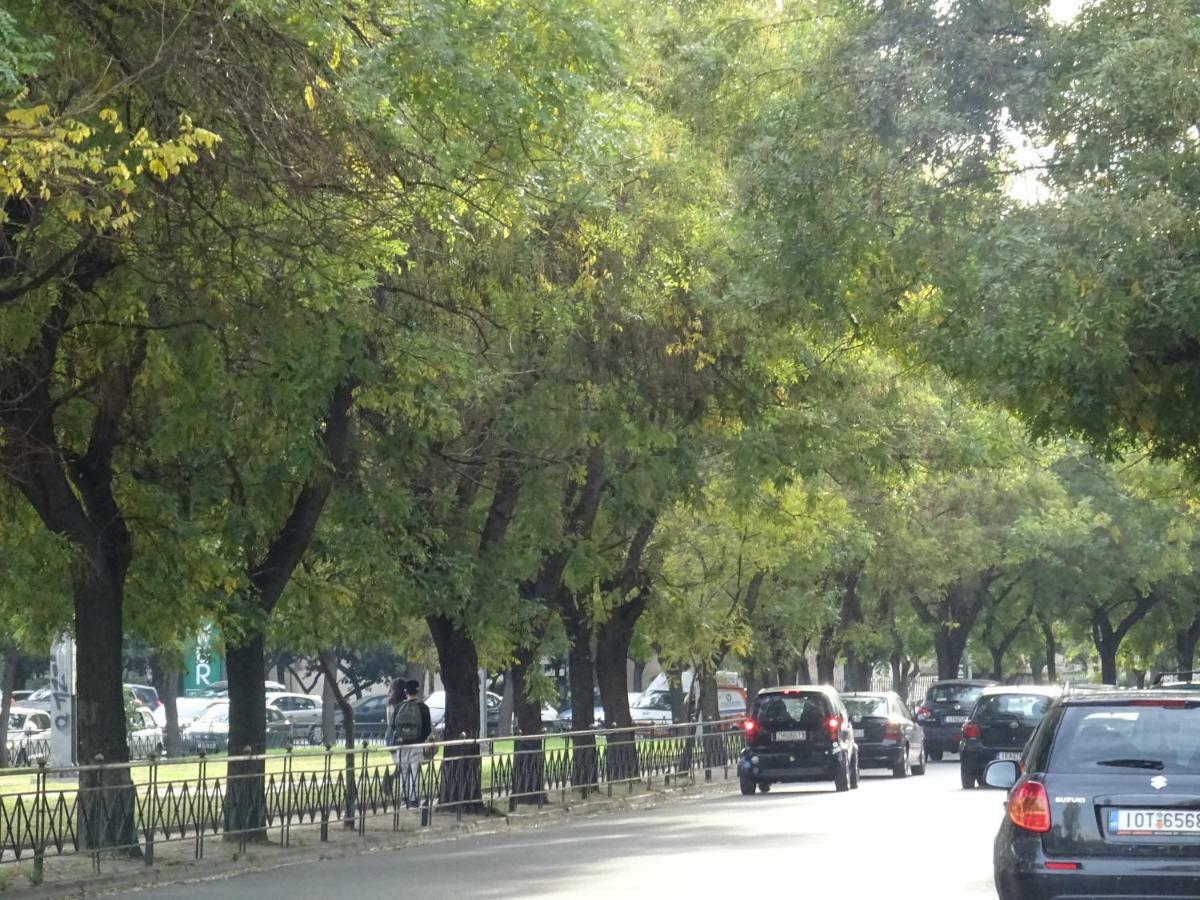 Zeus Perfect Location Atenas Exterior foto